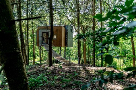 lvtag trtophotel|Quaint treetop cabins take Nordic minimalism up into the canopy